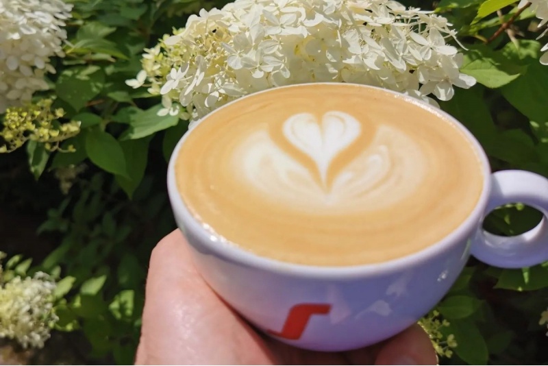 Warsztaty latte art w Galicyjskiej Szkole Smaku