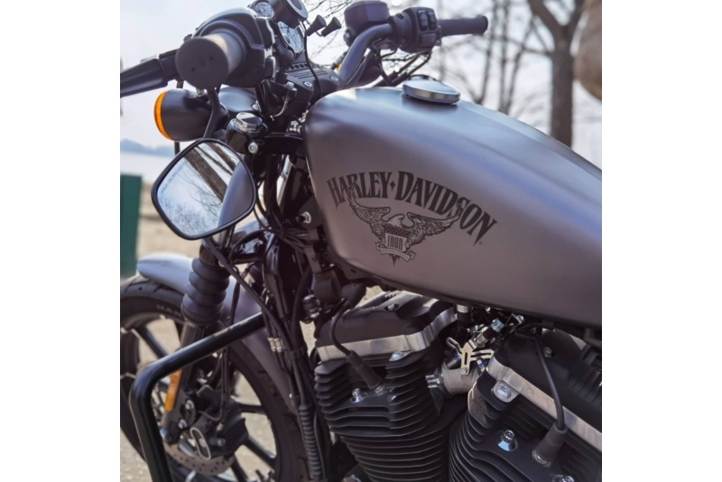 Wynajem Harley-Davidson Iron 883