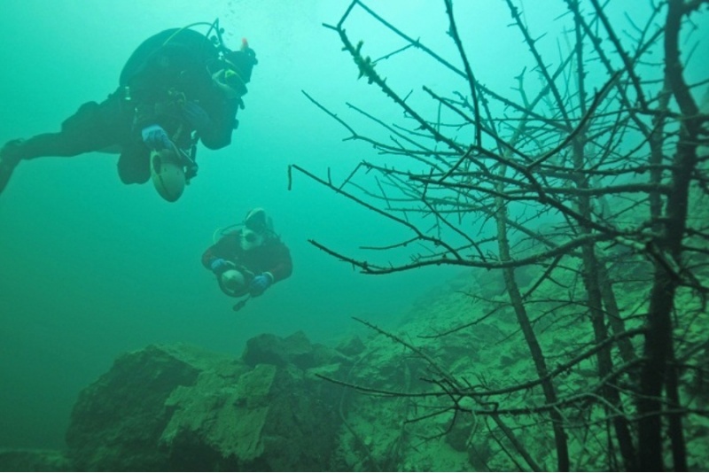 Kurs nurkowania Open Water Diver