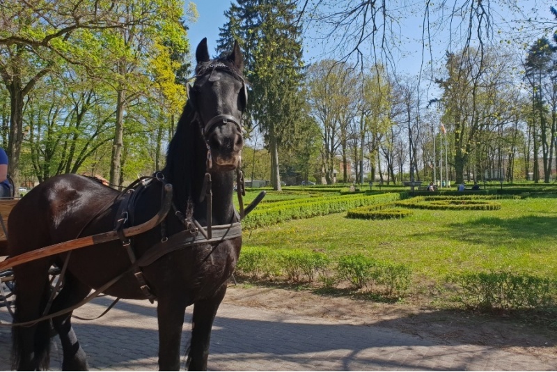 Lawendowy weekend we dwoje w Pałacu Wąsowo
