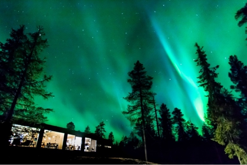 Trzydaniowa kolacja w Arctic Skylight Lodge