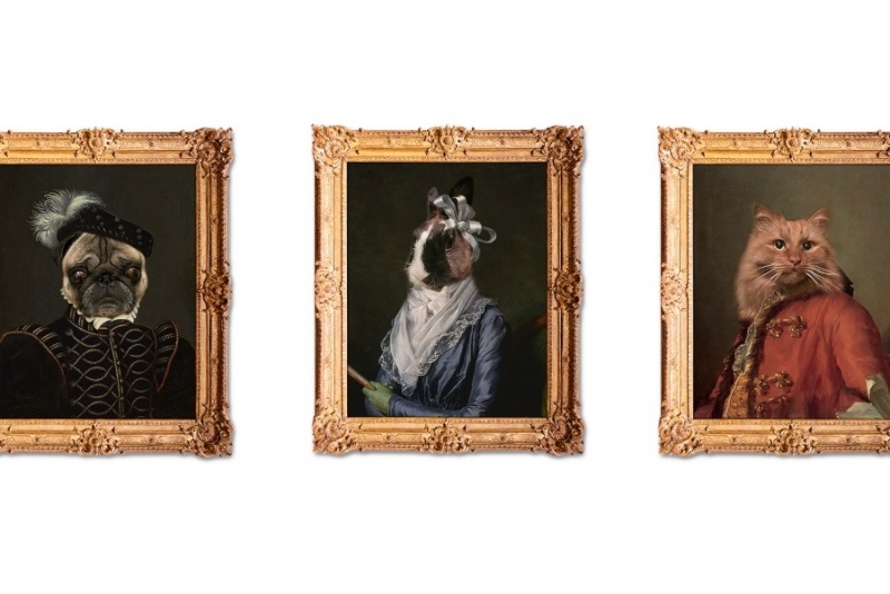Portret pupila na płótnie