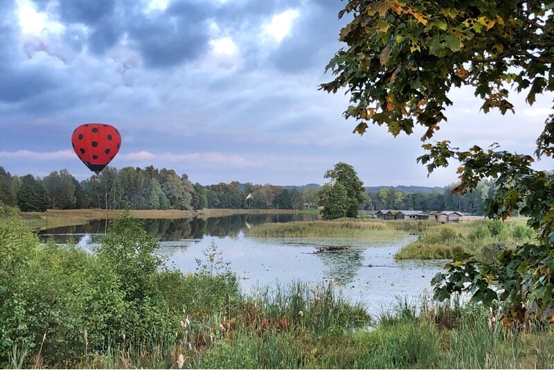 Lot balonem BizBizMārīte w Jełgawie, Bausce lub Rundāle od "GaisaBaloni.lv"