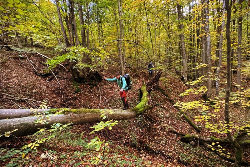 Zaawansowane Szkolenie Survivalowe z LifeTrip