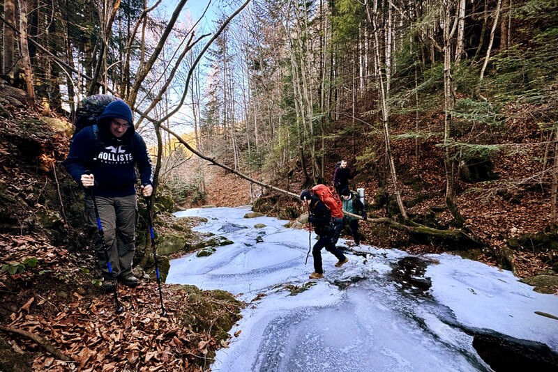 Selekcja Survivalowa - Realistyczny sprawdzian przetrwania