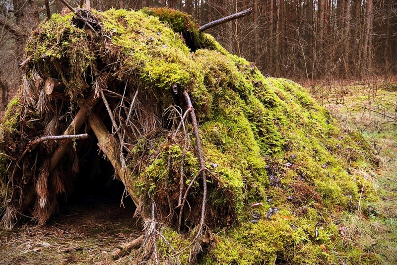 Selekcja Survivalowa - Realistyczny sprawdzian przetrwania
