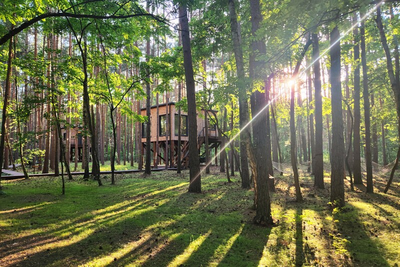 Pobyt w dowolnym domku na drzewie Tree Houses