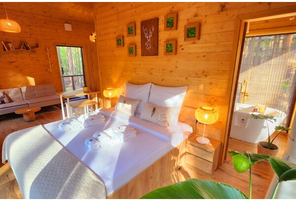Pobyt w dowolnym domku na drzewie Tree Houses