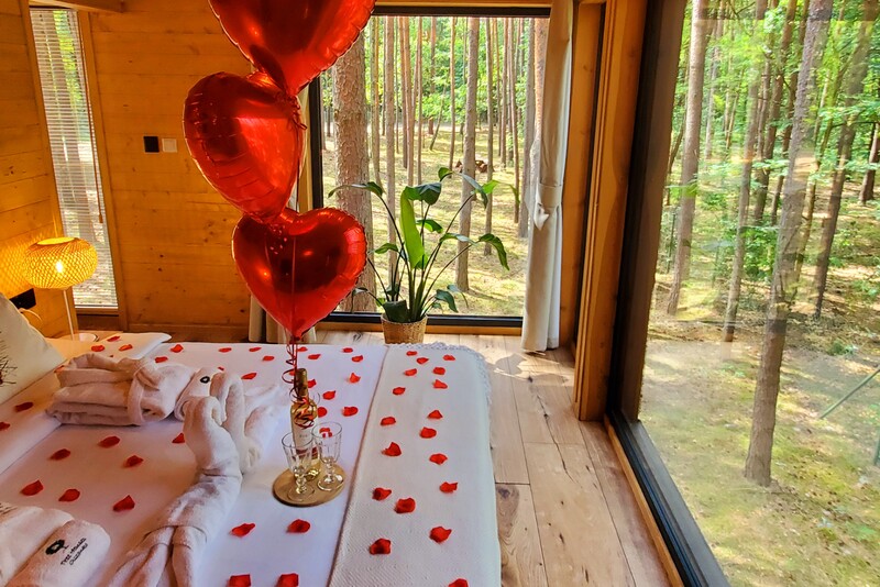 Romantyczny pobyt w dowolnym domku na drzewie Tree Houses