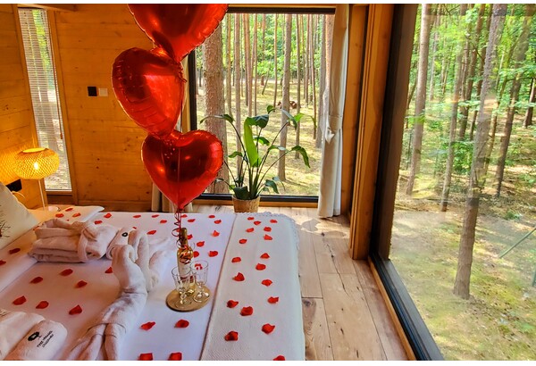 Romantyczny pobyt w dowolnym domku na drzewie Tree Houses
