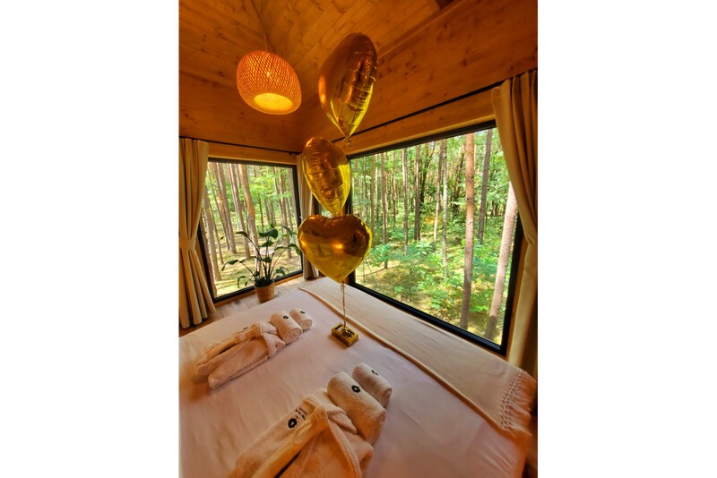 Romantyczny pobyt w dowolnym domku na drzewie Tree Houses