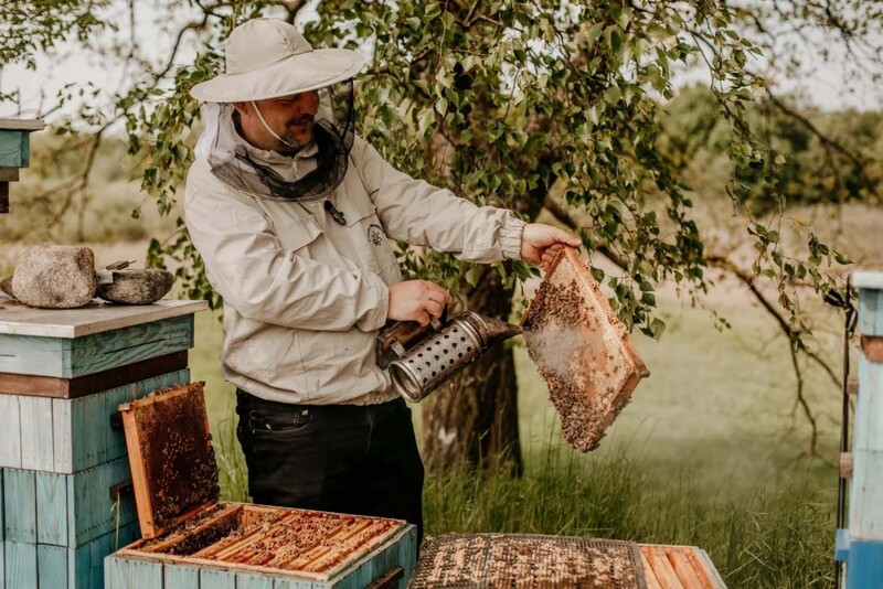 Kurs Zostań Pszczelarzem