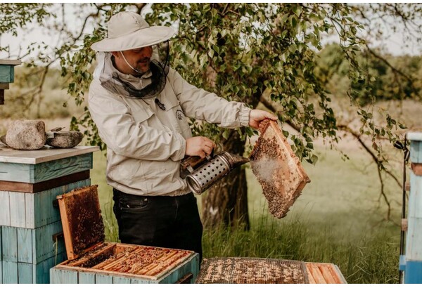 Kurs Zostań Pszczelarzem