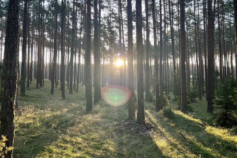 8-godzinne Szkolenie Survivalowe w Trójmieście