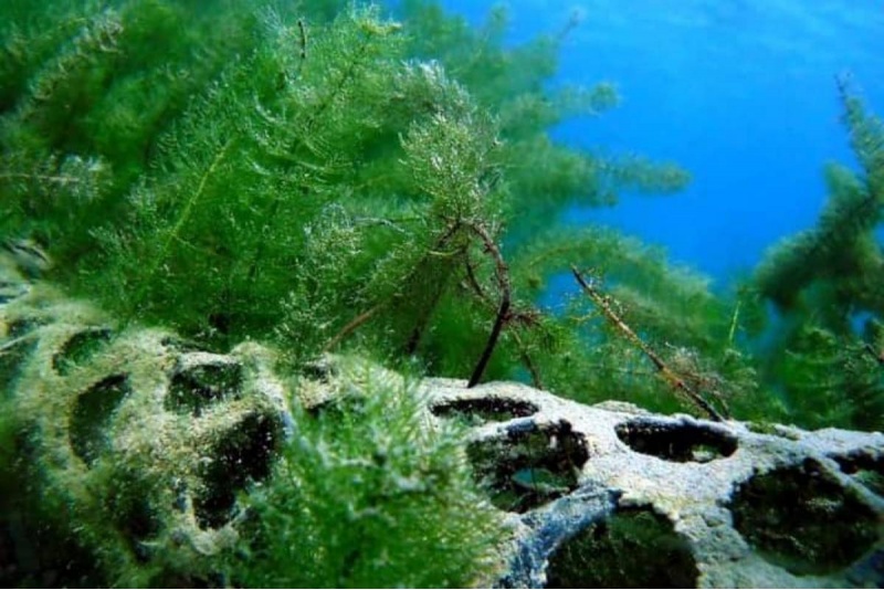 Próbne nurkowanie w Centrum nurkowym Beskid Divers