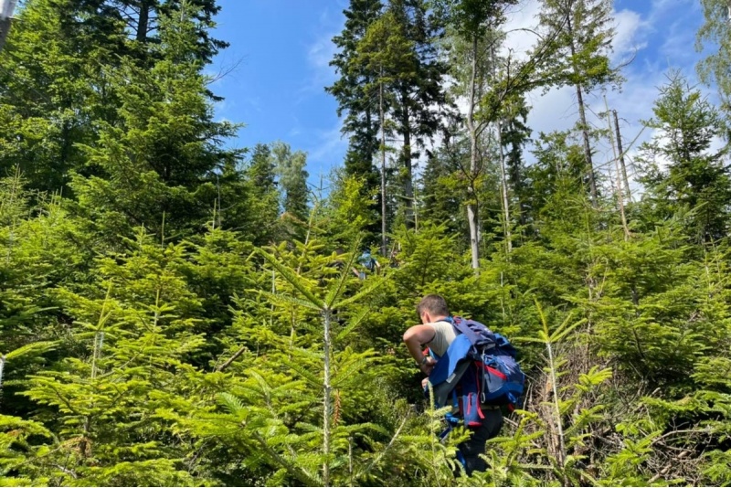 Szkolenie survivalowe Bieszczady 30 h w okolicach Baligrodu