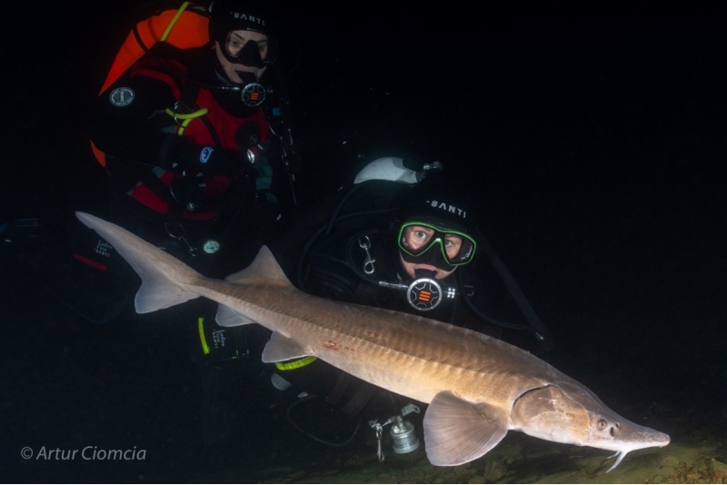 Podstawowy kurs nurkowania z Art of dive