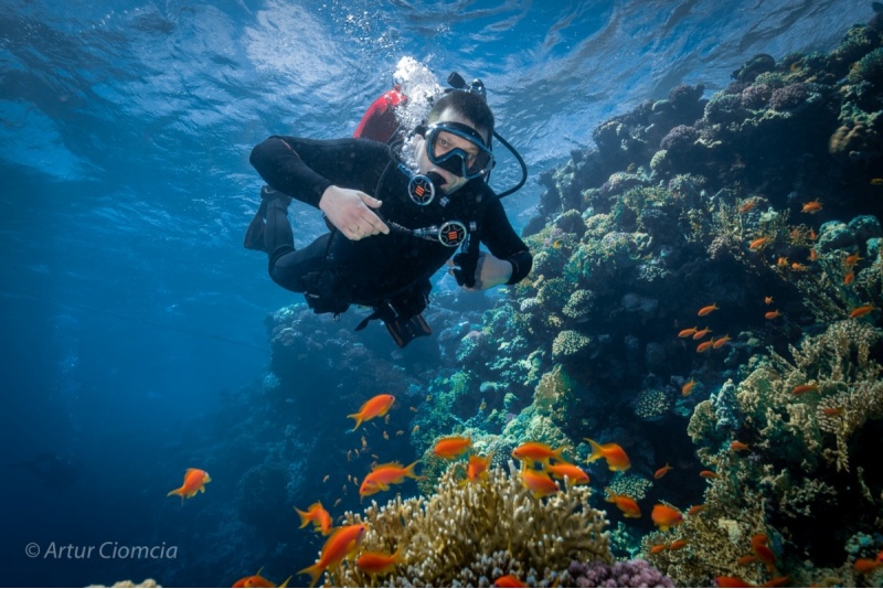 Podstawowy kurs nurkowania z Art of dive