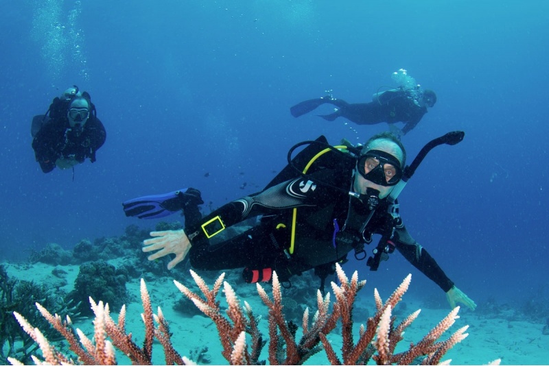 Podstawowy kurs nurkowy OWD z Go diving w Warszawie
