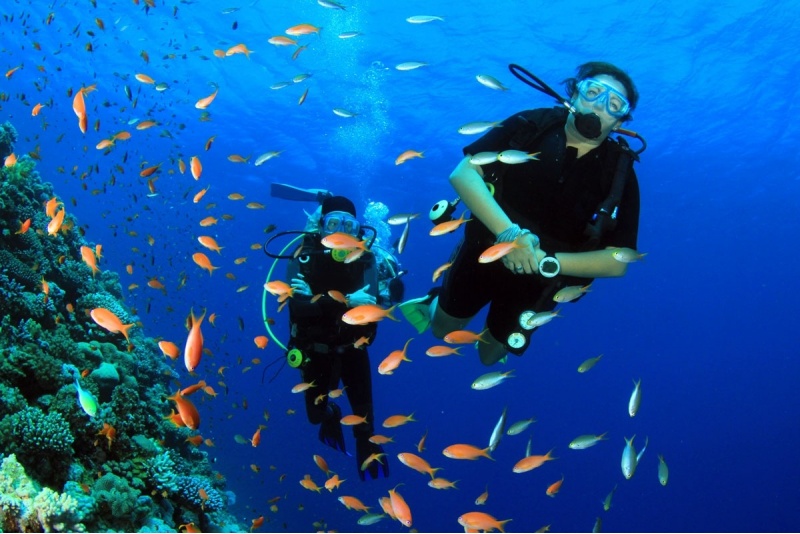 Indywidualny kurs nurkowy OWD w DeepSpot z Go diving