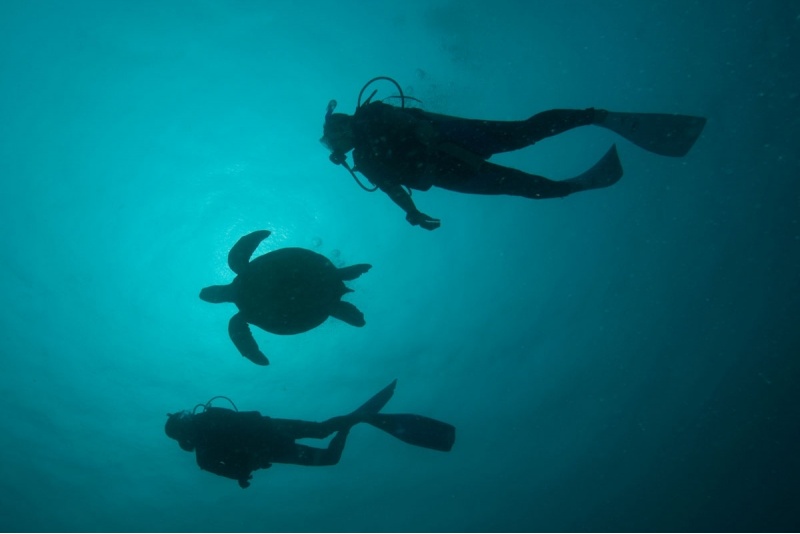 Indywidualny kurs nurkowy OWD w DeepSpot z Go diving