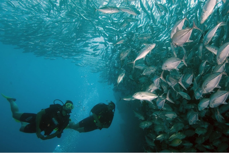 Indywidualny kurs nurkowy OWD w DeepSpot z Go diving