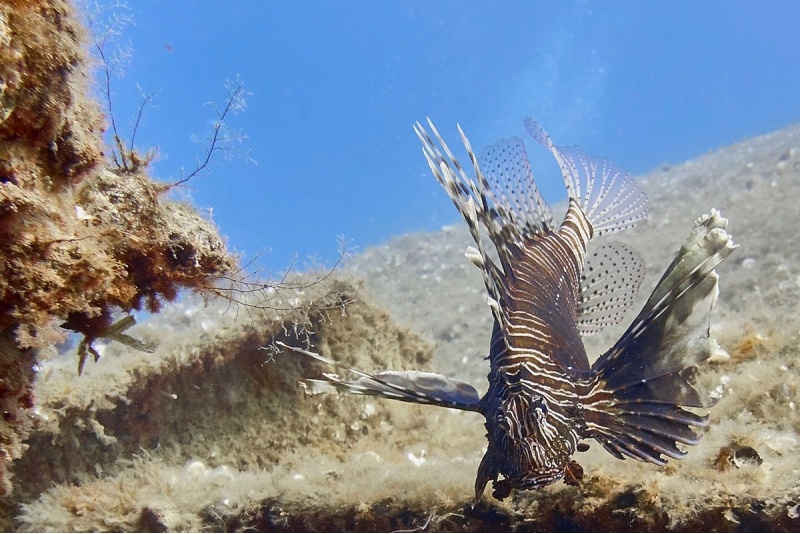 Indywidualny kurs nurkowy OWD w DeepSpot z Go diving