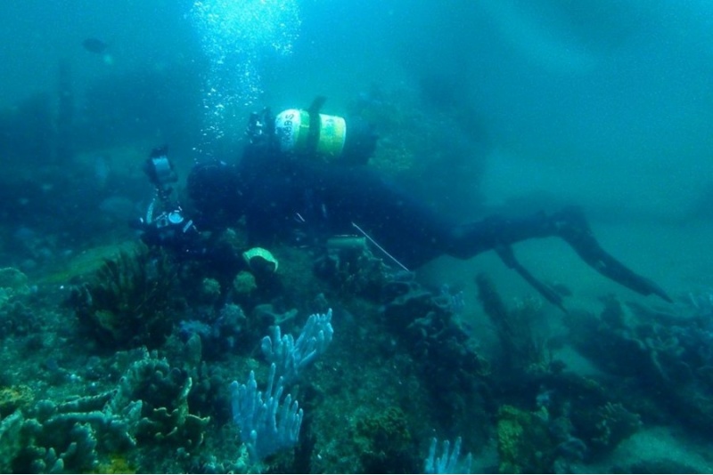 Kurs nurkowania wielopoziomowego z First Dive