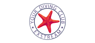 Exstream