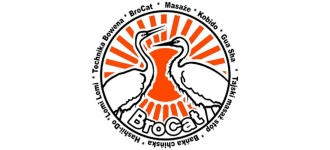 BroCat Beauty