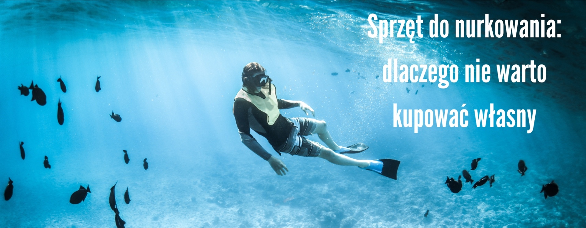 Sprzęt do nurkowania: dlaczego nie warto kupować własny